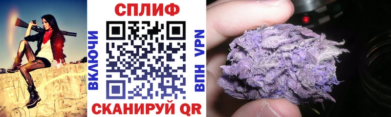Галлюциногенные грибы Пойковский