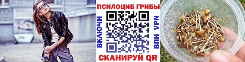 Галлюциногенные грибы Psilocybe Пойковский